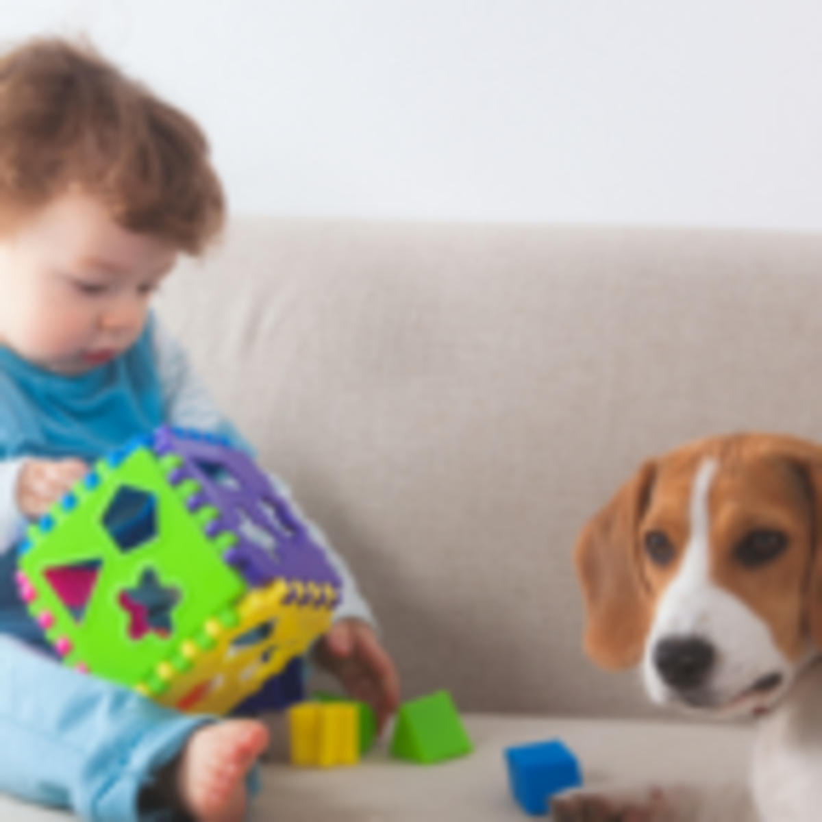 Living in Dog Years : A Reflection on High School Hell